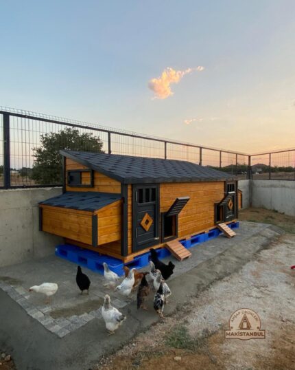 Ahşap Tavuk Kümesi - Geniş Aile Tipi Lüks Model